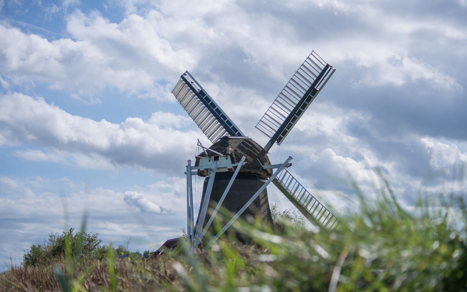 Dutch as the second language that I learned as an autodidact.